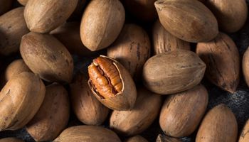 nuts-button-ALT