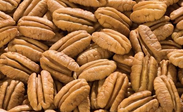 pecan-halves-small-ALT